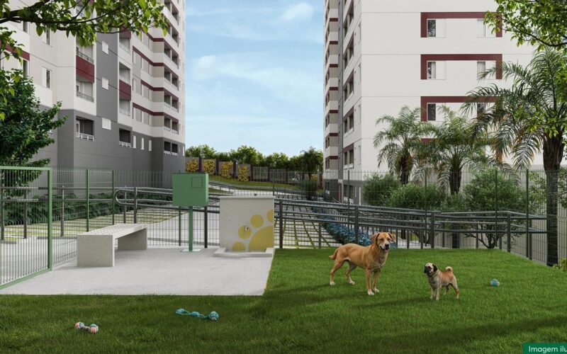 POENTE_DAS_BROMELIAS_PETPLACE